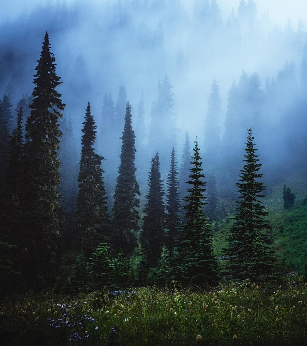 Mount Rainier National Park