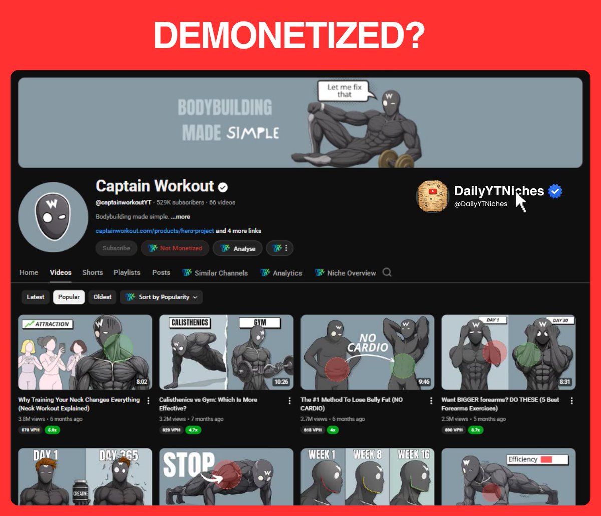 DailyYTNiches tweet media