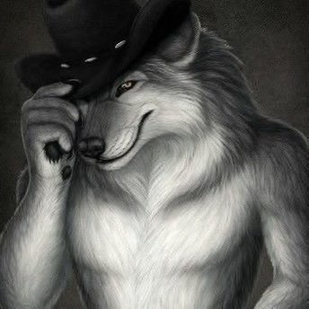 alice ✶ tweet media