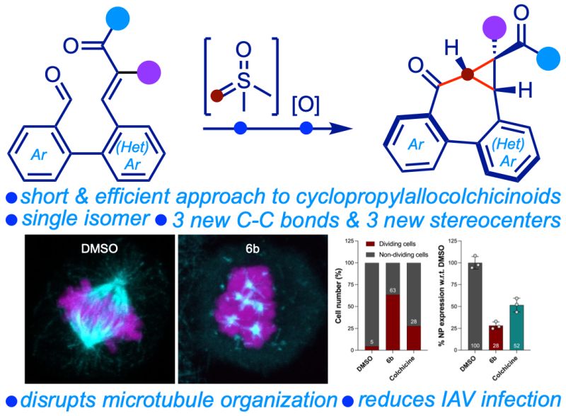 S. S. V. Ramasastry tweet media