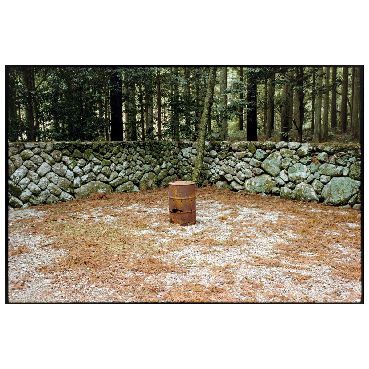 Kumano, Mie 2026.4
film