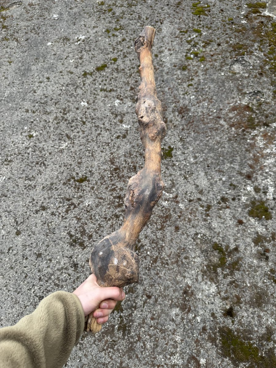 landgrim.perfume tweet media