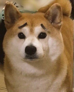 그냥 밥못먹어서 슬픔