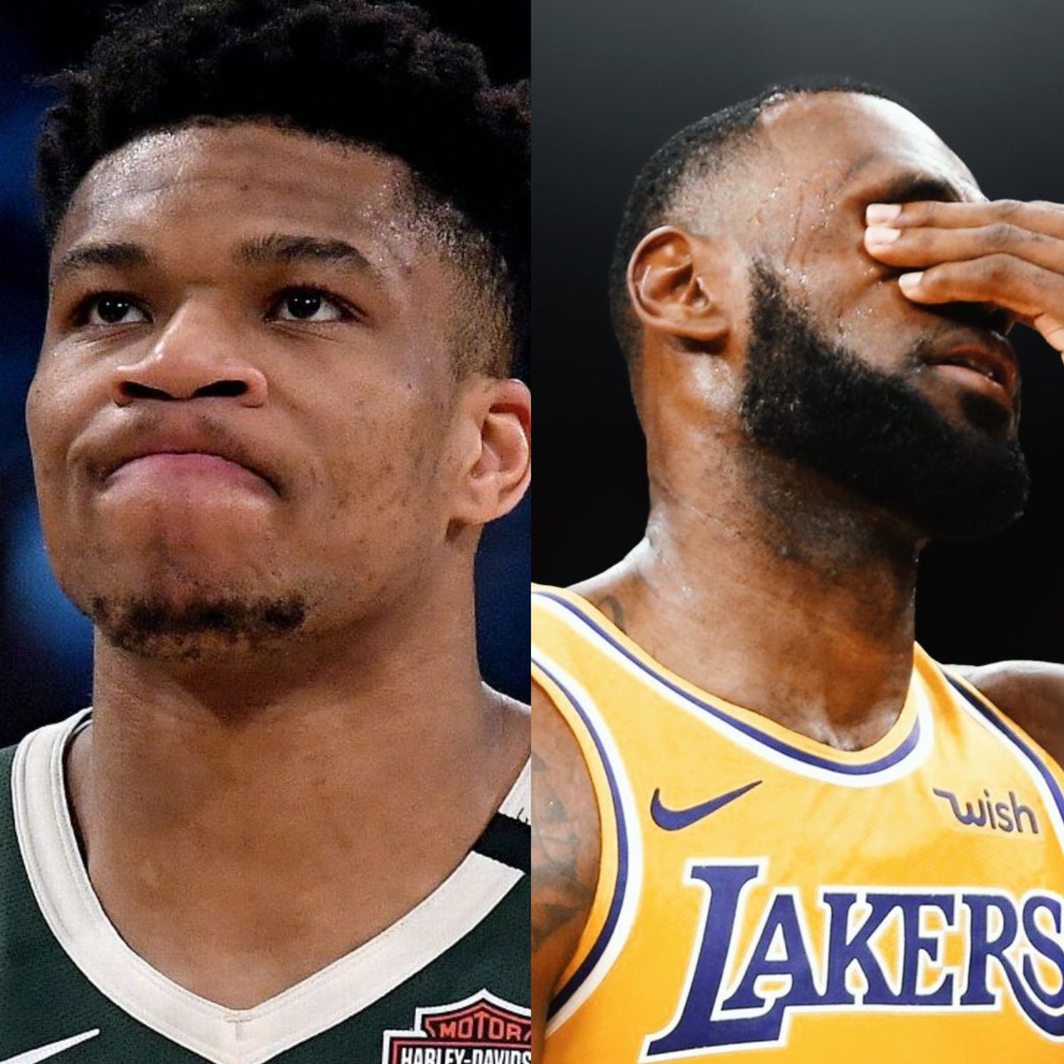 Pensare Basketball tweet media