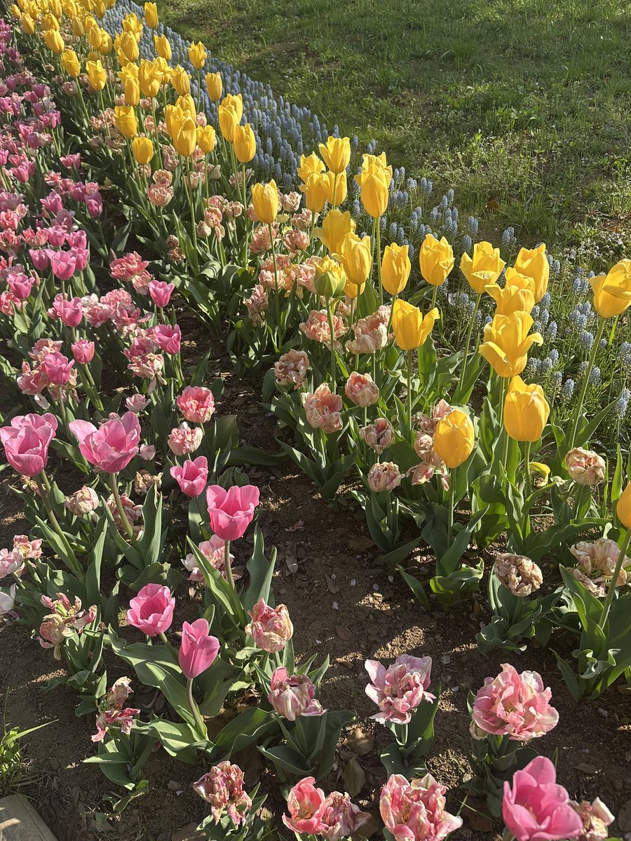 うつき tweet media