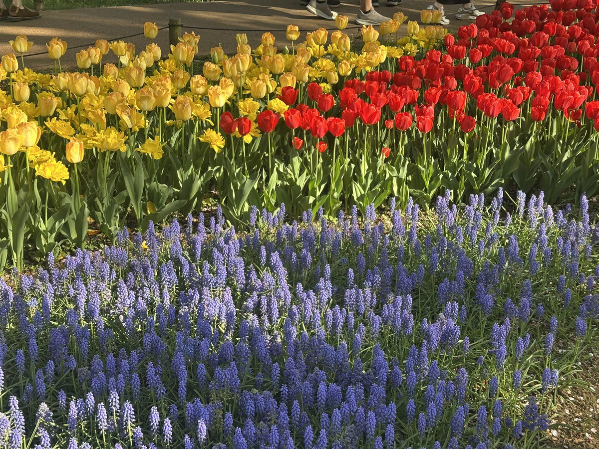 うつき tweet media