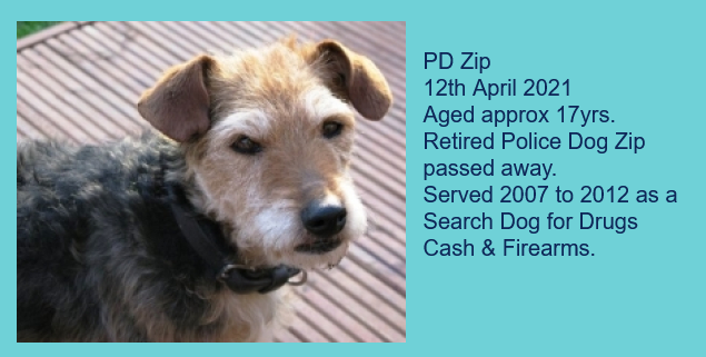 Essex Retired Police Dogs Fund tweet media