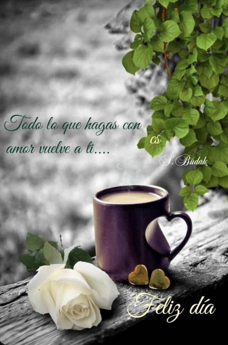 Peter_Sweet पेड्रो💎 tweet media