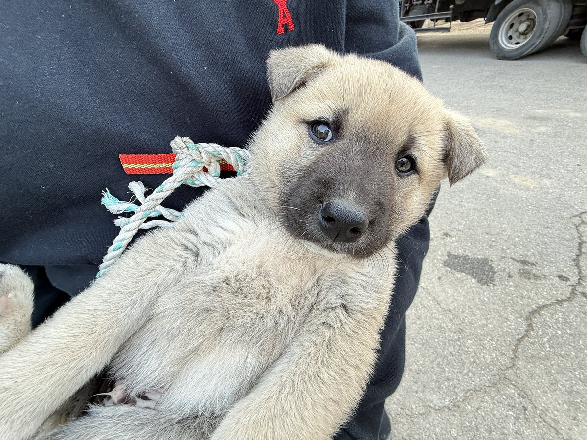 버터.. tweet media