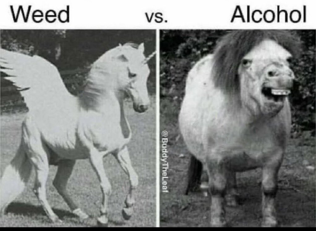 Tolliver tweet media