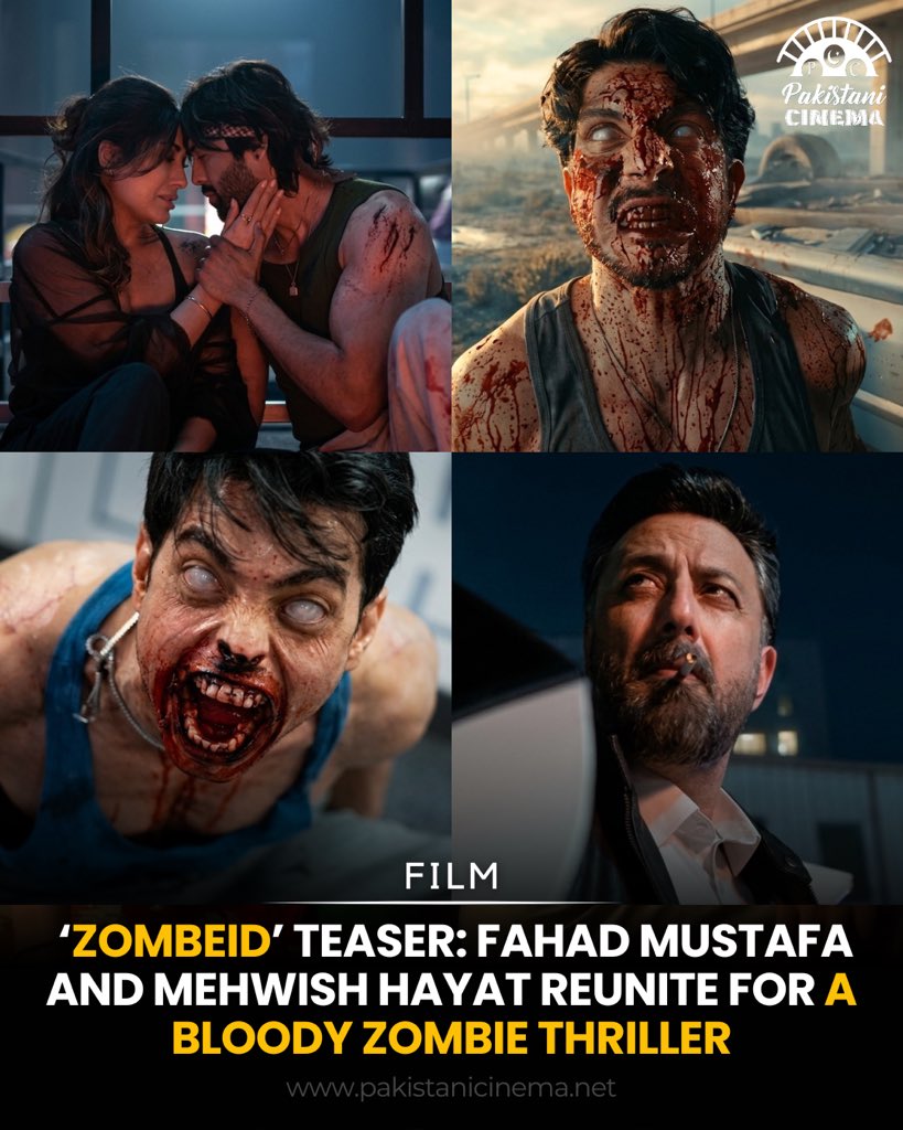 Pakistani Cinema tweet media
