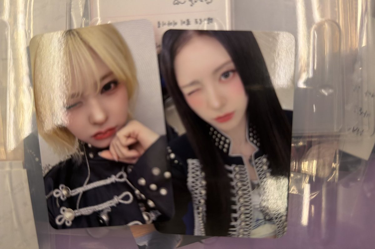 こぐま🐻 tweet media