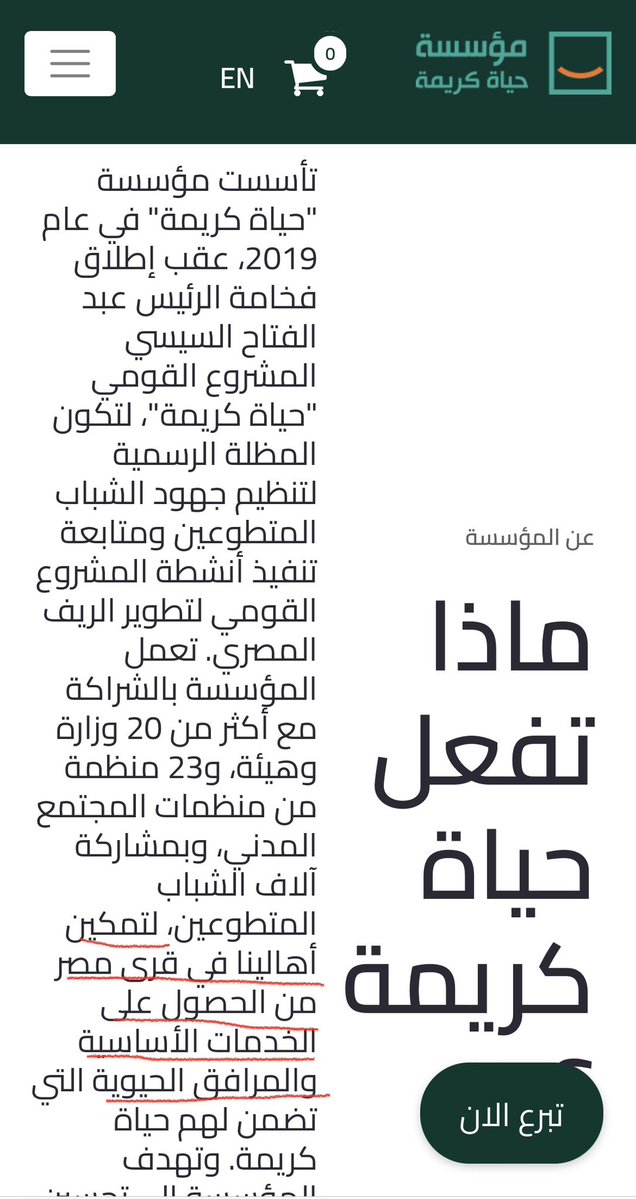 Sherin Helal tweet media