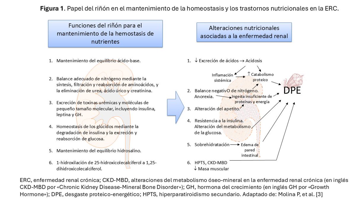 S.E.N. Nefrología tweet media