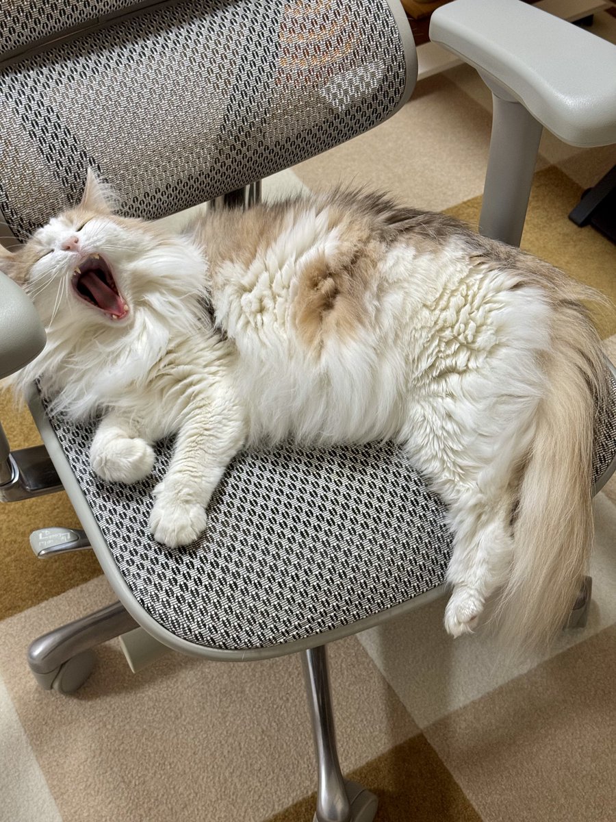 エドリー tweet media