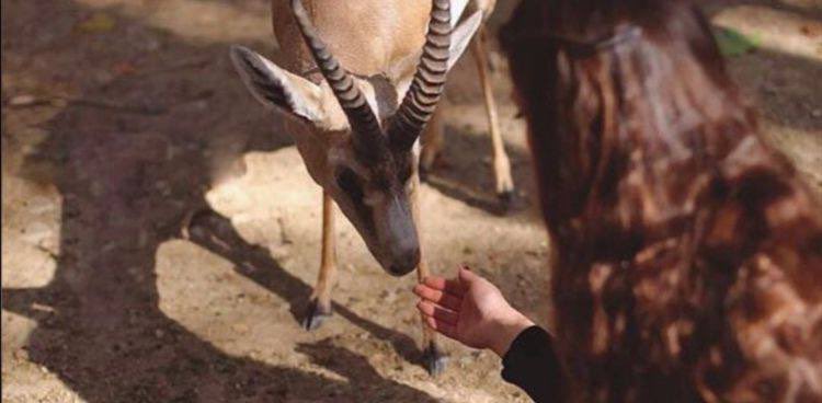 الريم.. ‏𐂂 tweet media