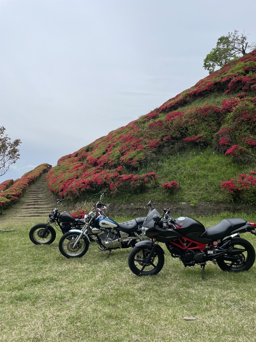 moto__kan's tweet photo. 宮崎までツーリング！🏍
Googleマップに変な道通らさせられたり帰りは雨に打たれたりしたけど楽しかったのでオールOKです😌🤍 https://t.co/Usp9Xhn5I8