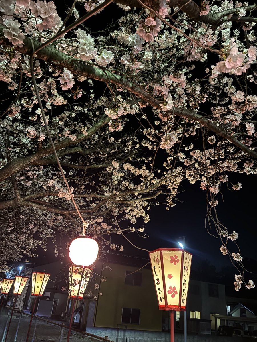 jogginist's tweet photo. 4/2〜12ラン記録
お花見三昧
昨日はデイキャンプで桜見納め https://t.co/JGi37dtbbM