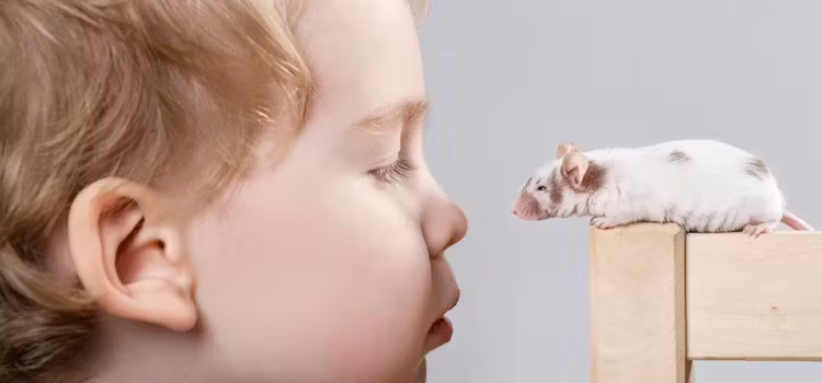 Biólogos de Madrid tweet media