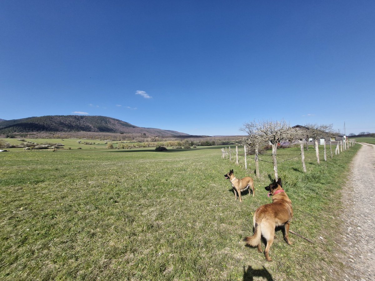 Rider Freakyfast tweet media