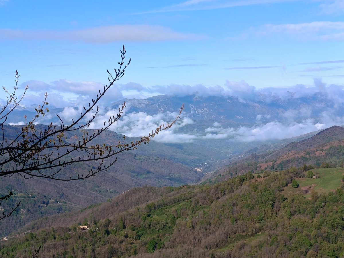 AMA ISTHAR tweet media