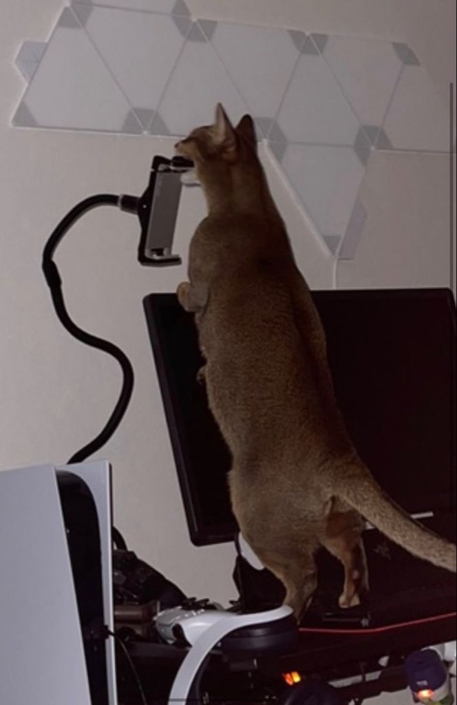 จูเอ้ว บริษัทหัตถการ tweet media