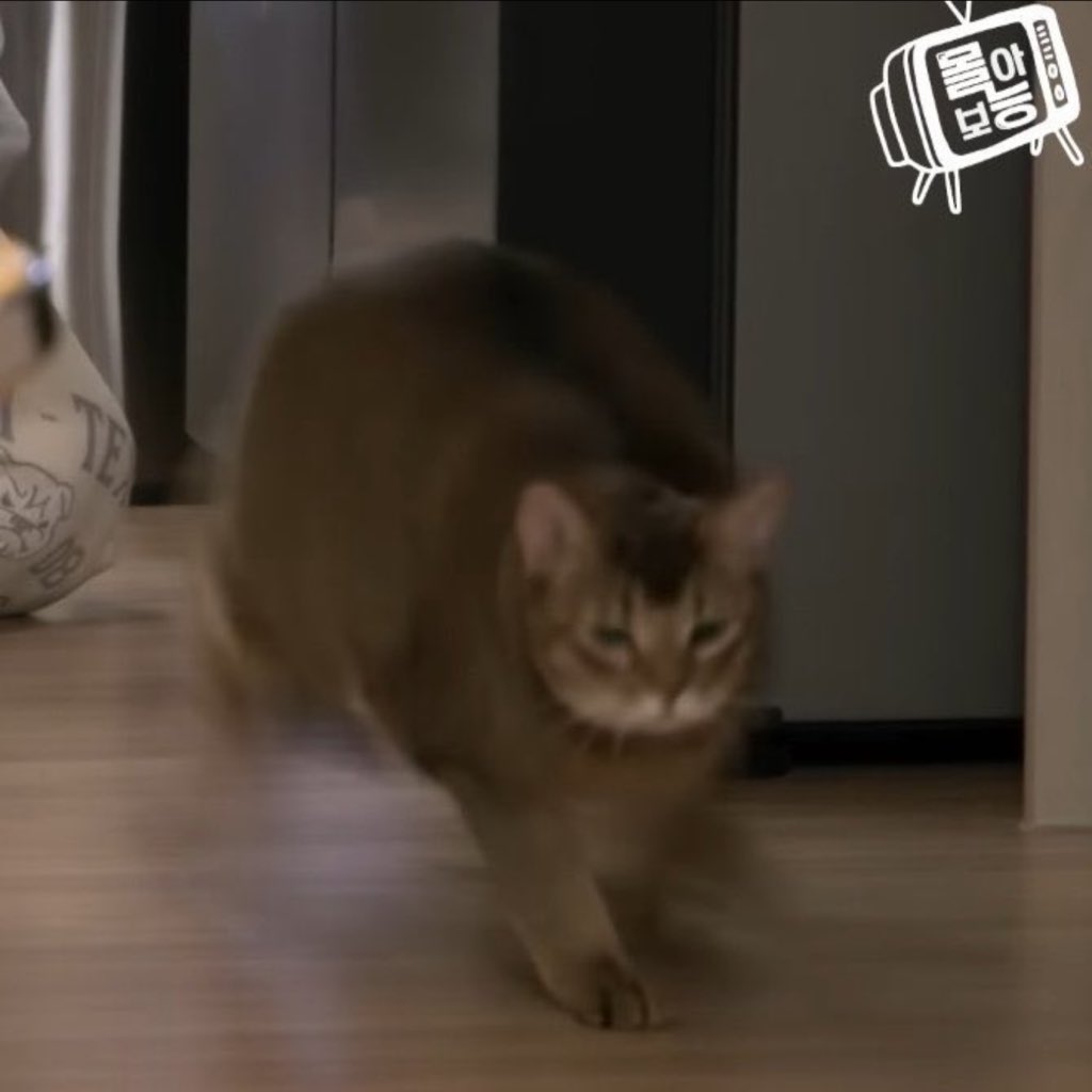 จูเอ้ว บริษัทหัตถการ tweet media