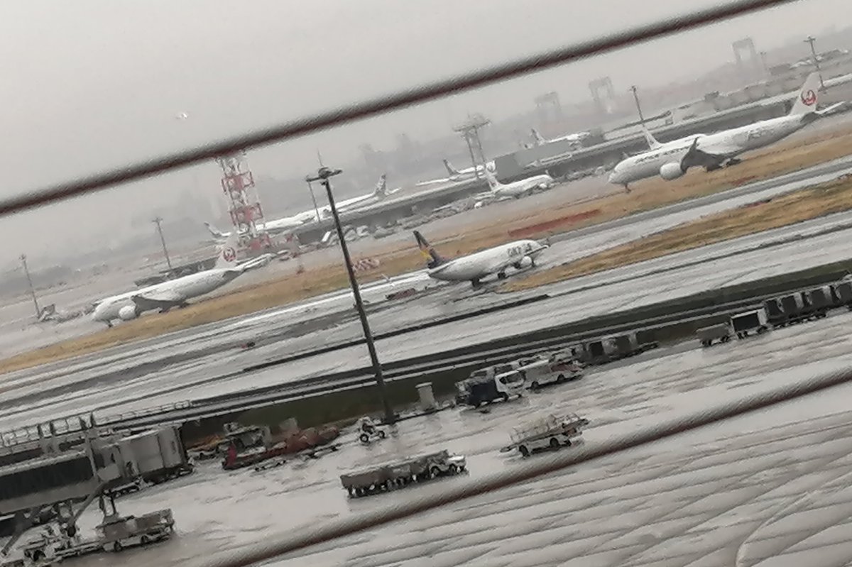 TARUHI◆5/6東7R41a😙黒猫邁進 tweet media