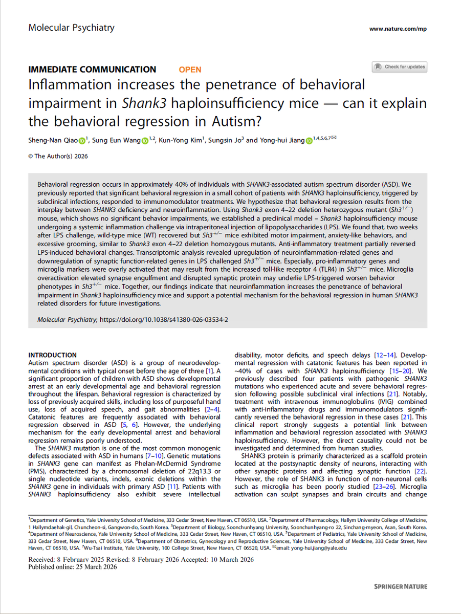 AutismHubIE's tweet photo. Interesting new paper in Molecular Psychiatry:
“Inflammation increases the penetrance of behavioral impairment in SHANK3 haploinsufficiency mice—can it explain behavioral regression in autism?”

Read here: https://t.co/KUcQ99S2z1 https://t.co/i6jvPC8P0m