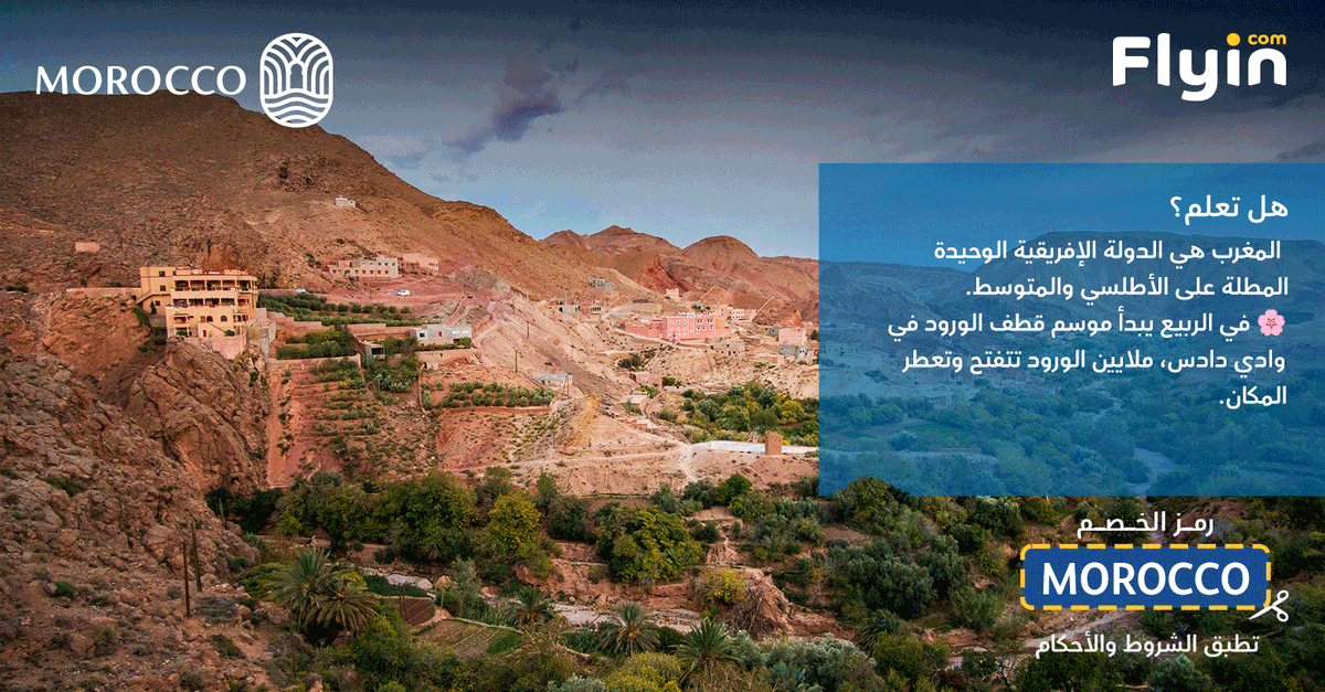 Flyin | فلاي إن tweet media