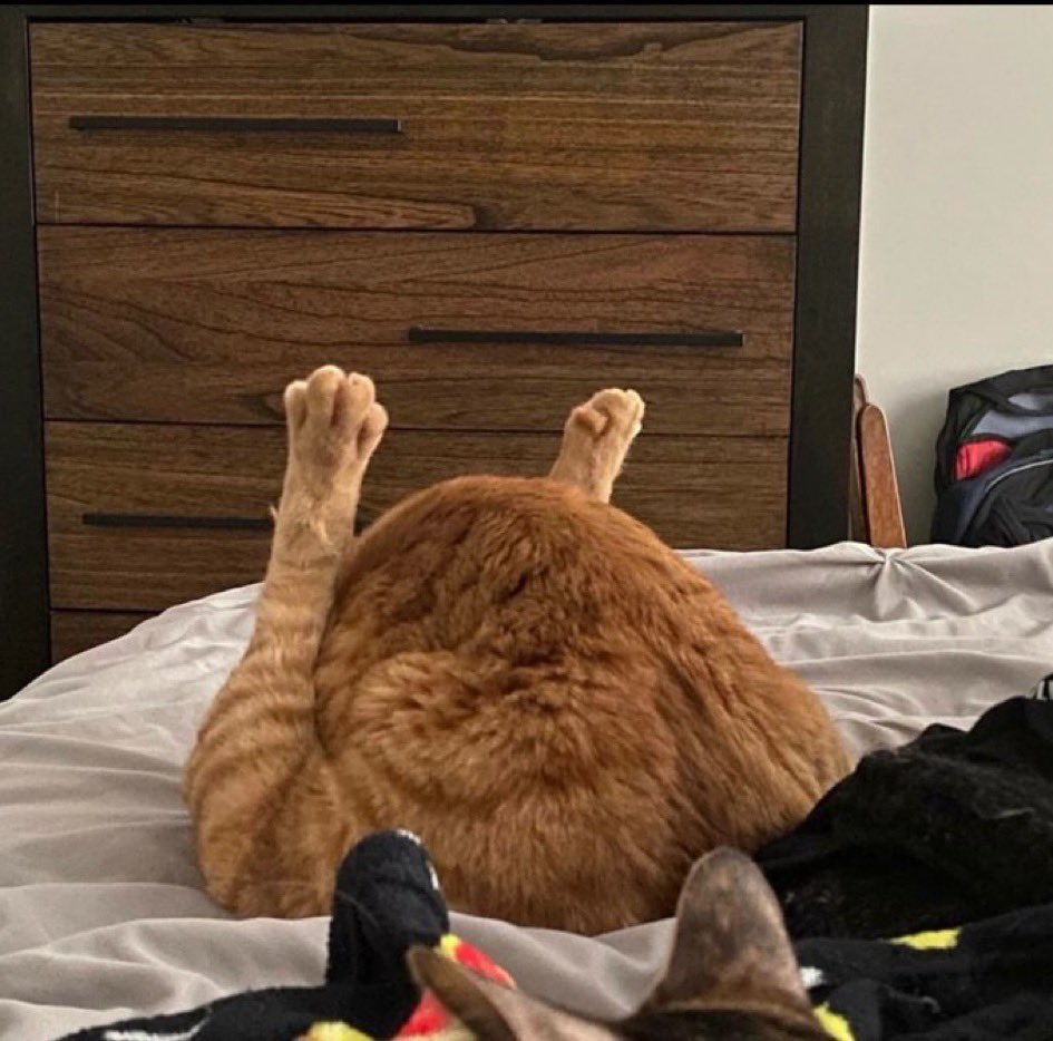 🎶🎵𝗔𝗴𝗮𝘁𝗵𝗲 𝗗𝗲𝗯𝗹𝗼𝘂𝘇🎵🎶 tweet media