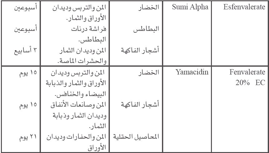 اغنام ___ ( مباشر ) tweet media