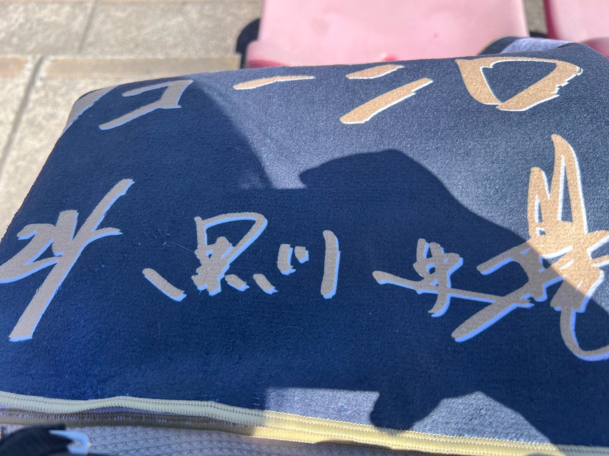 あかり⚾️ tweet media