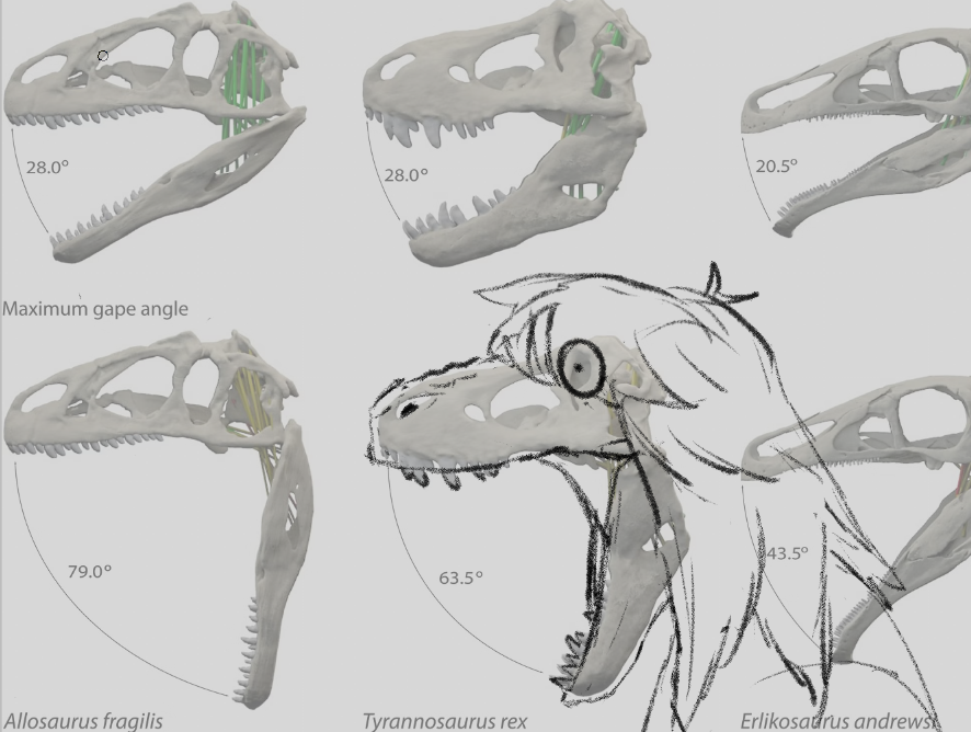 Emusaurus rex tweet media