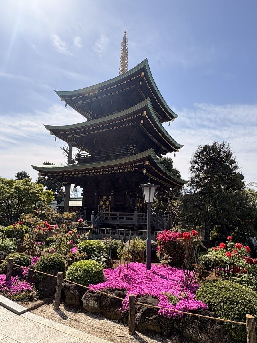 田中ひろみ(公式)/仏像イラストレーター tweet media