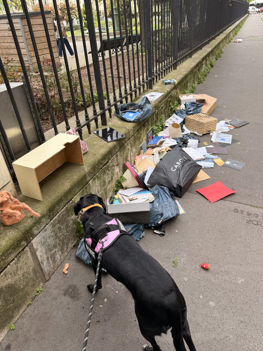 Julien Courbet tweet media