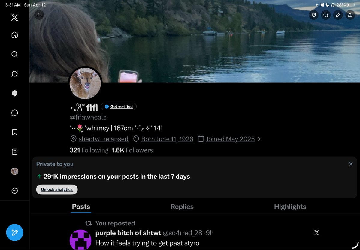 ⋆.𐙚 ̊ fifi tweet media