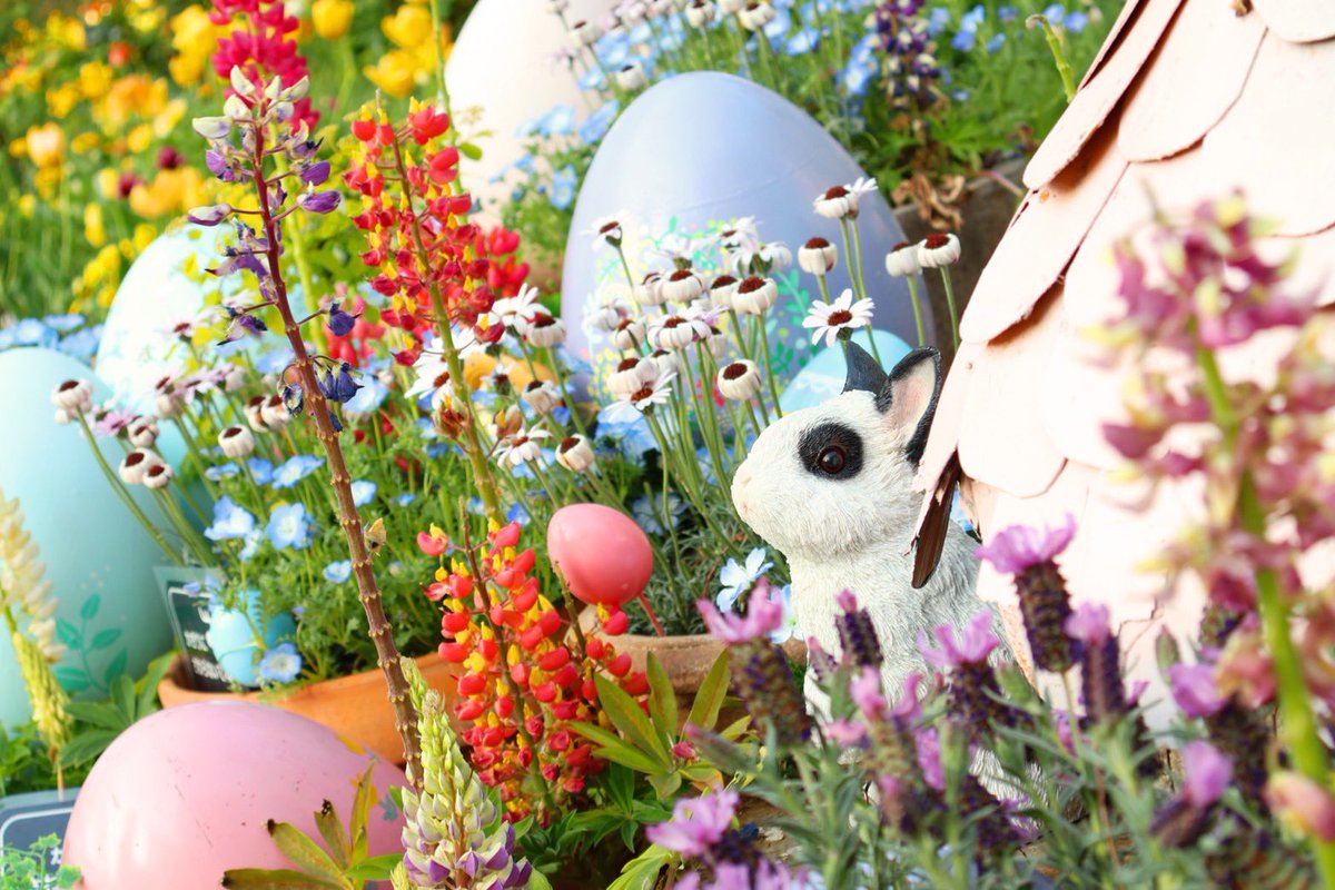 🌼🐰🐾🐣🌷