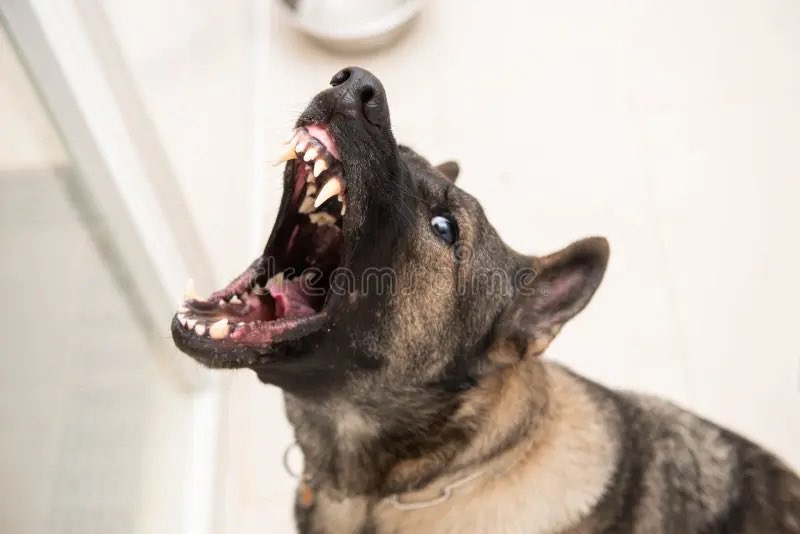 Martin Vos tweet media