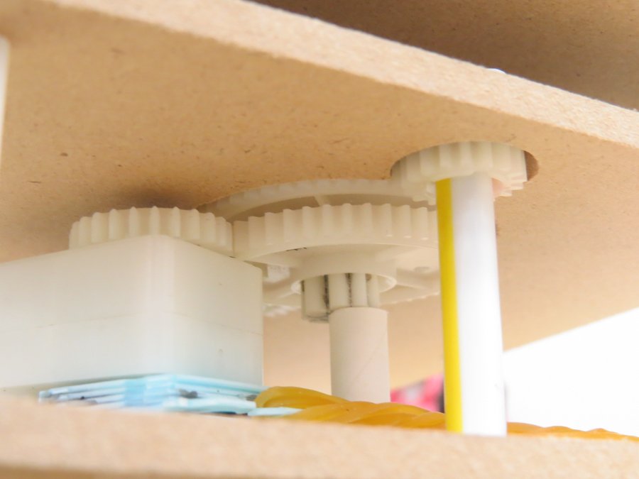 すーめだか tweet media