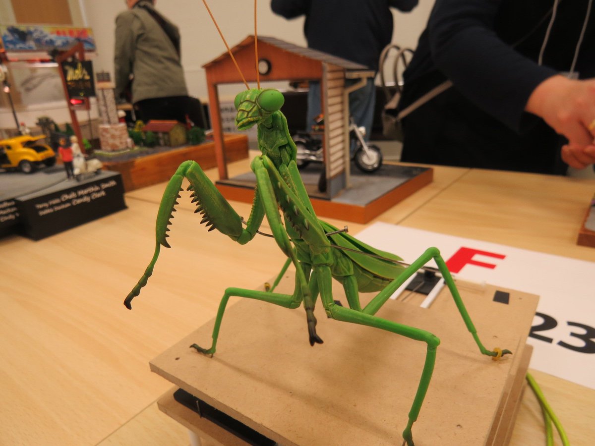 すーめだか tweet media