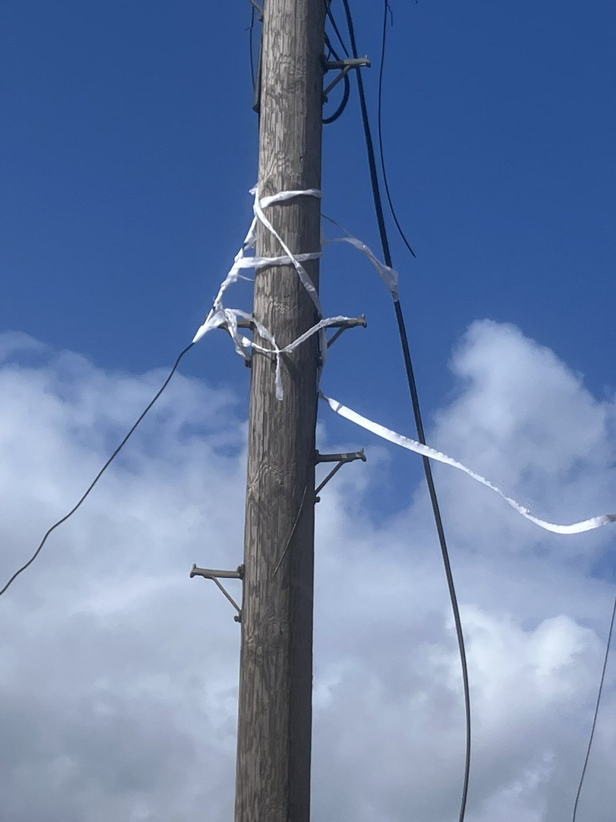 Nick Godwin tweet media