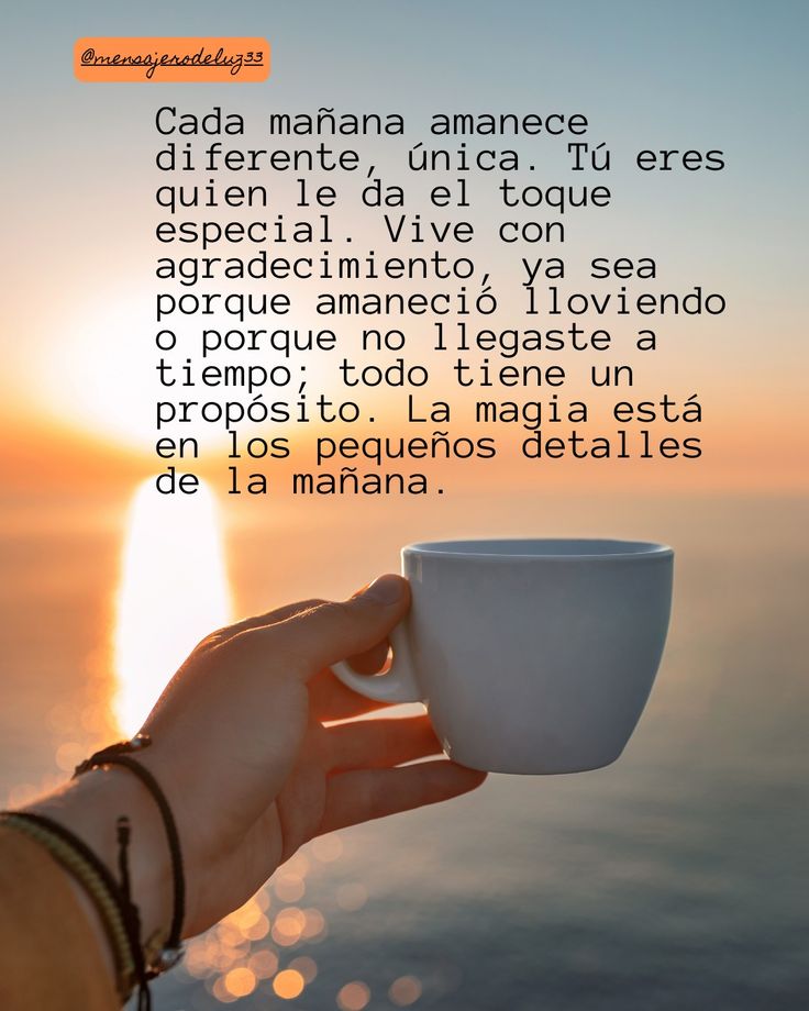 🇻🇪Eliza🌵🍀 tweet media