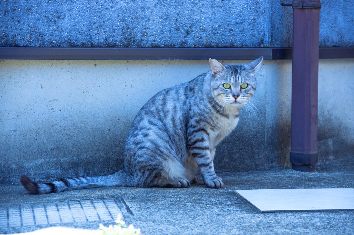 yanohiro_t's tweet image. 青い写真
#minimal #Blenderic