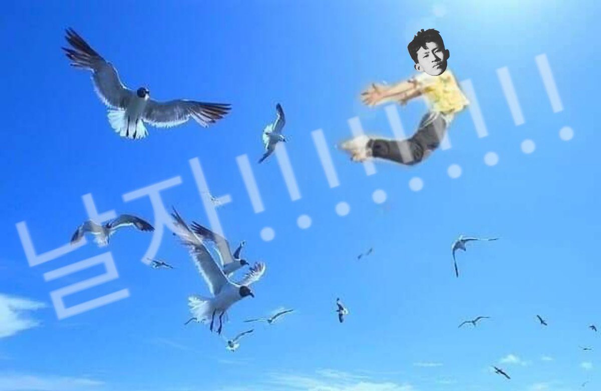 감자우수 tweet media