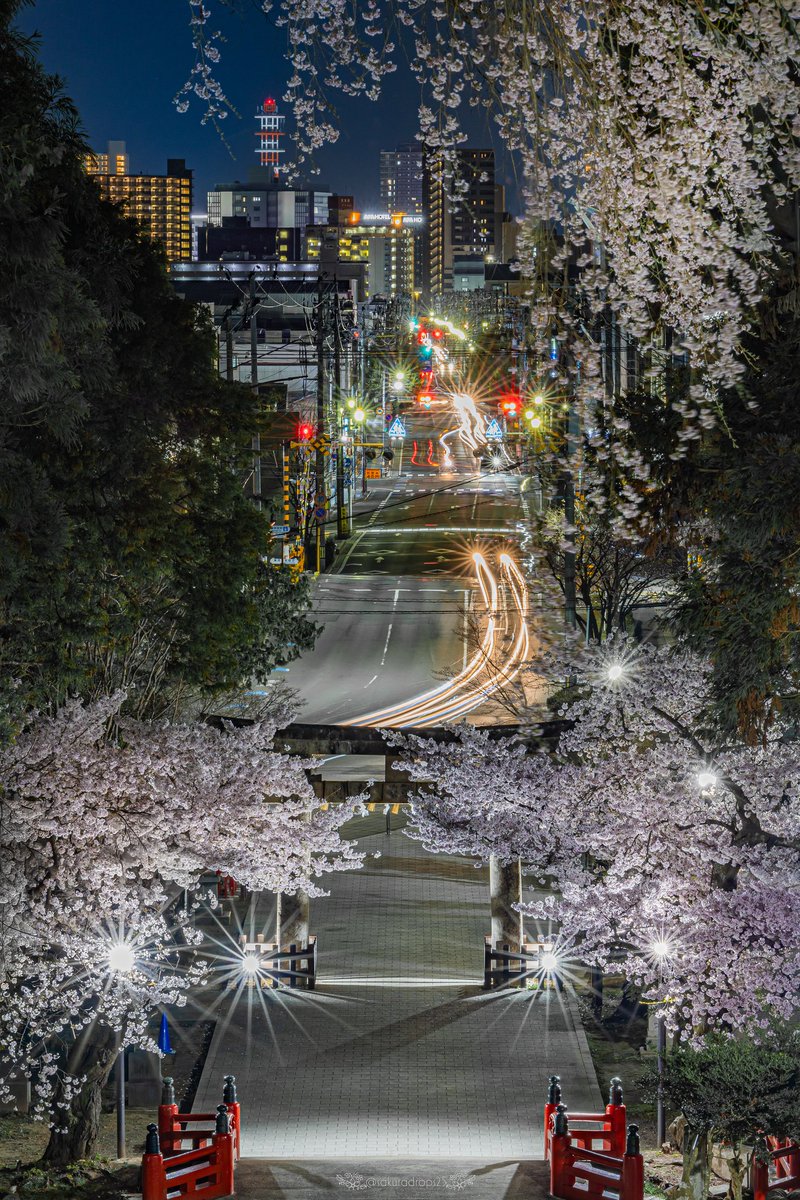 はる tweet media