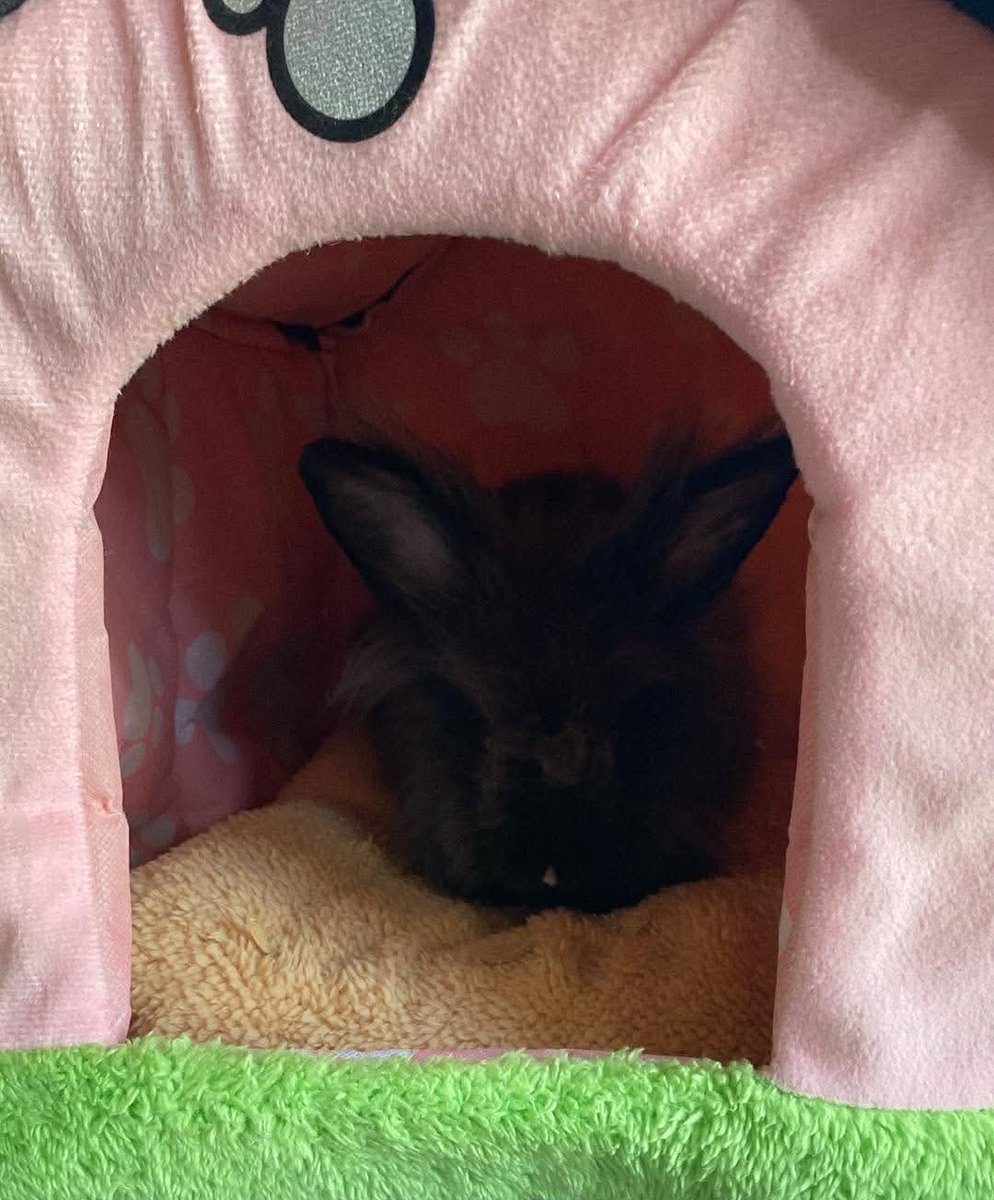 Emi BUNSAGI ENTHUSIAST tweet media