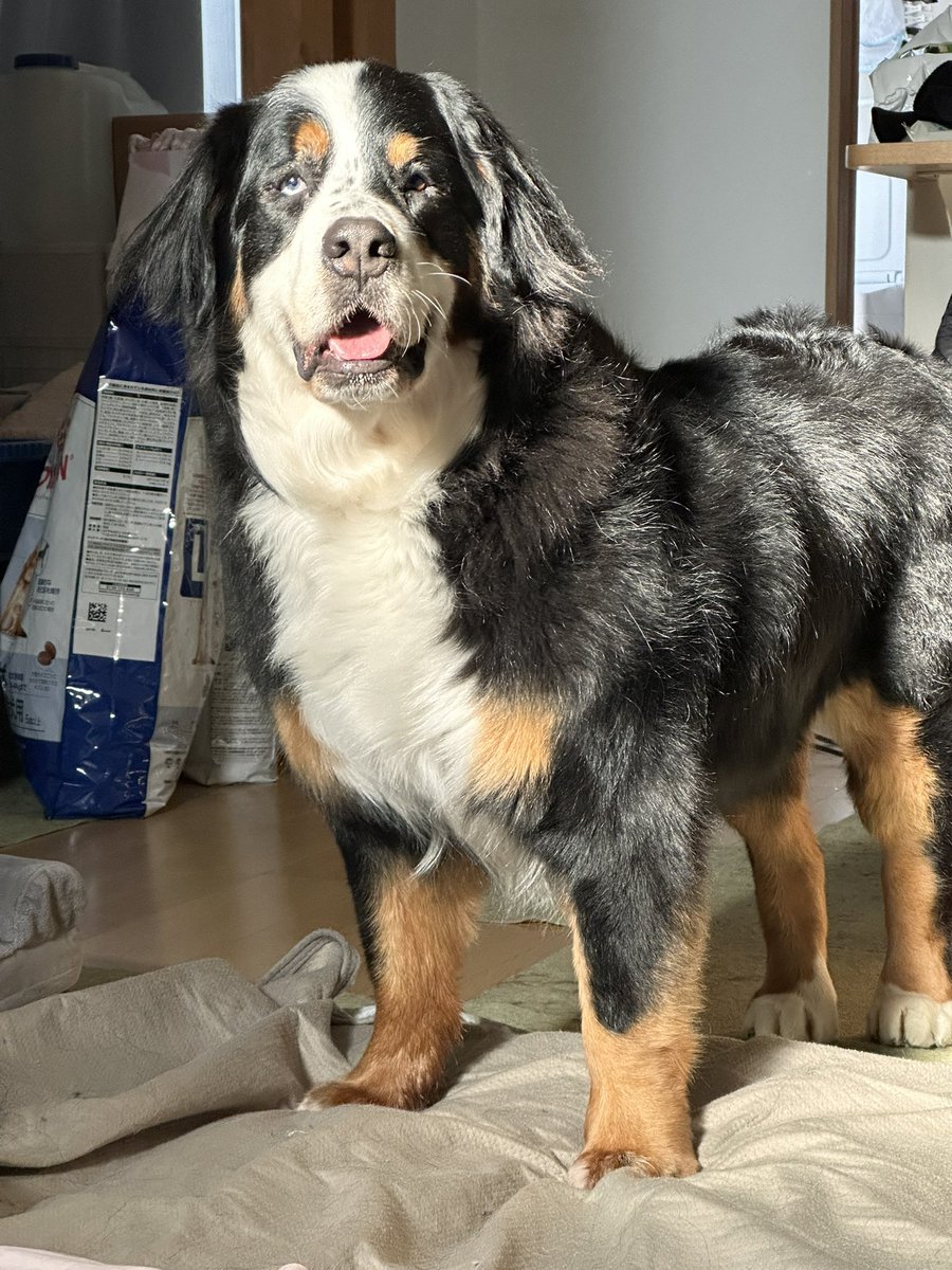 みにまむ tweet media