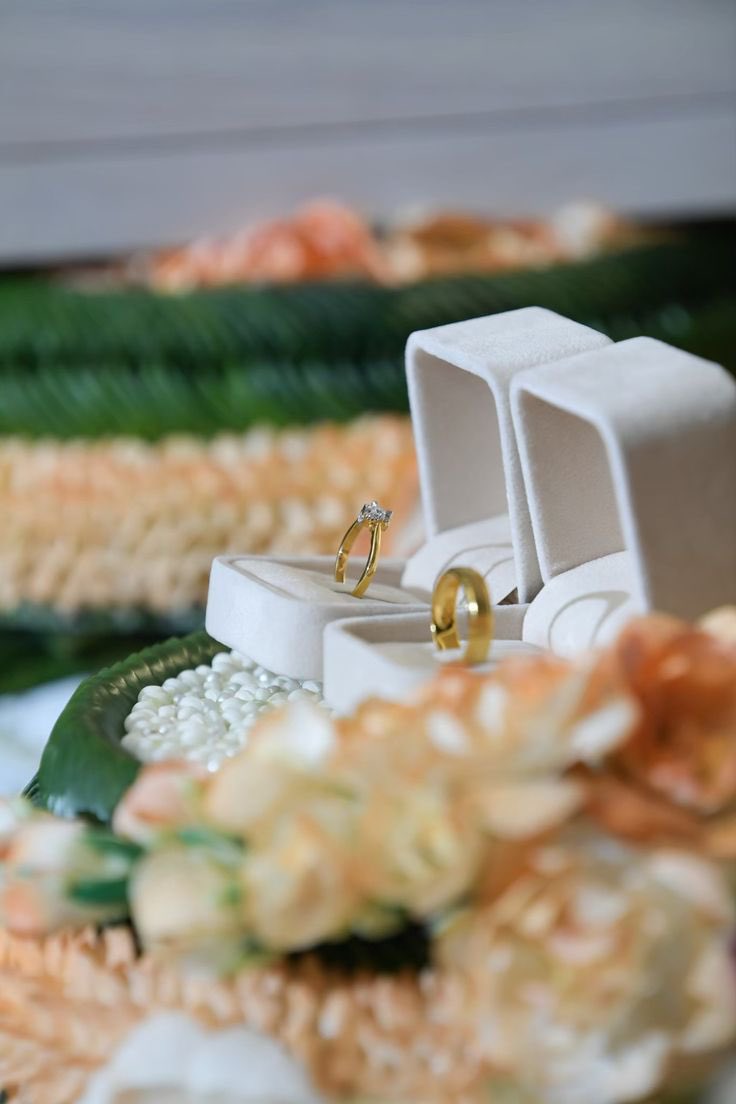 𝑰 𝑫𝑶 𝑾𝑯𝑨𝑻 𝑰 𝑳𝑶𝑽𝑬 ✨ tweet media