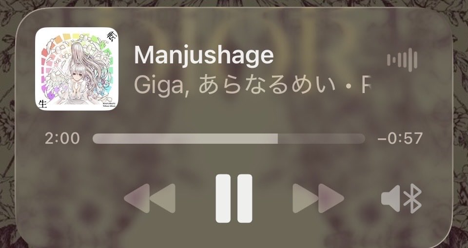 🎀 コイコイ 🎀 tweet media